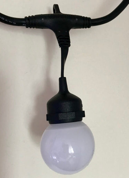 Bistro / Festoon Lights