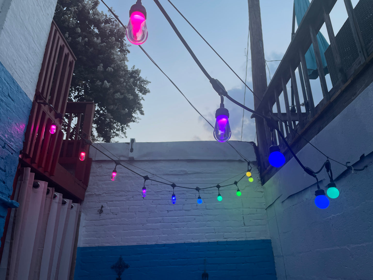 Bistro / Festoon Lights