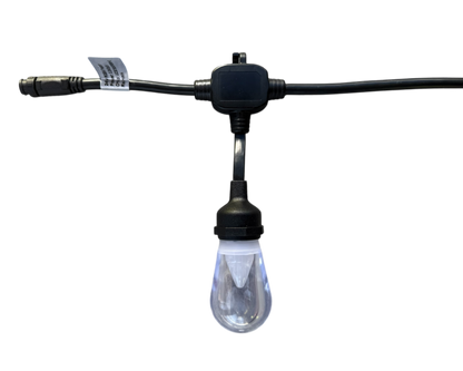 Bistro / Festoon Lights