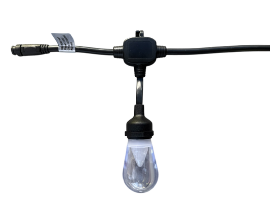 Bistro / Festoon Lights