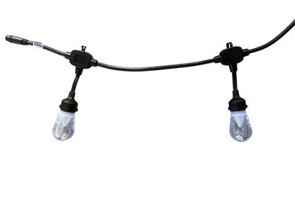 Bistro / Festoon Lights