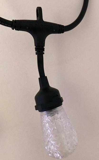 Bistro / Festoon Lights