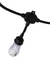 Bistro / Festoon Lights